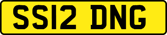 SS12DNG