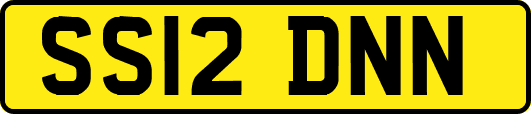 SS12DNN