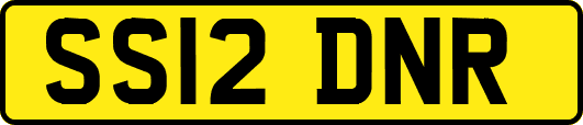 SS12DNR