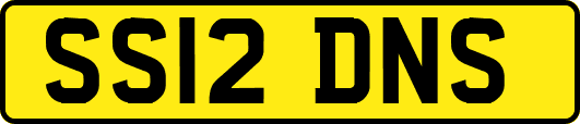 SS12DNS