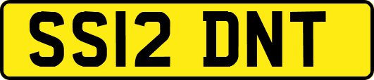 SS12DNT