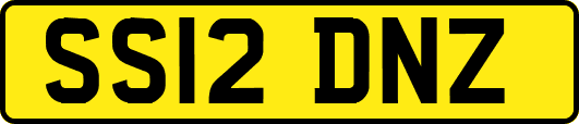 SS12DNZ