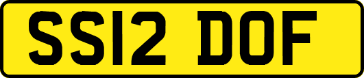 SS12DOF