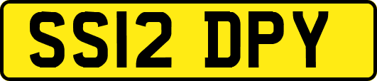 SS12DPY