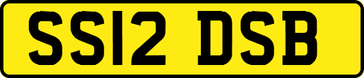 SS12DSB