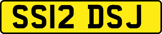 SS12DSJ