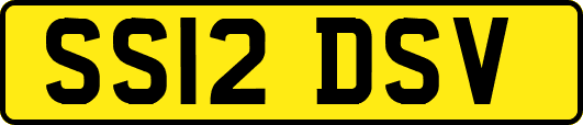 SS12DSV