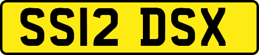 SS12DSX