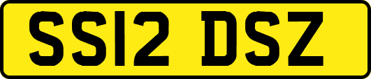 SS12DSZ