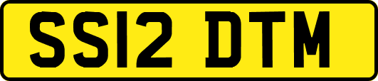 SS12DTM
