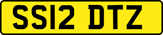 SS12DTZ