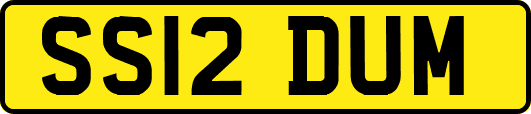 SS12DUM