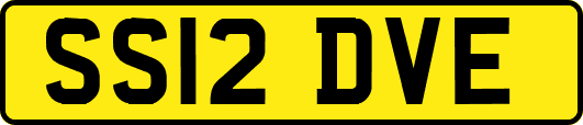 SS12DVE