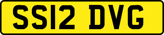 SS12DVG