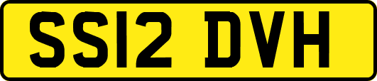 SS12DVH
