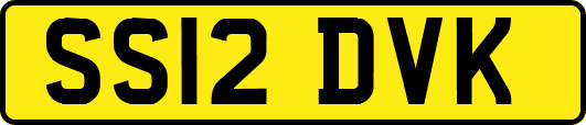 SS12DVK