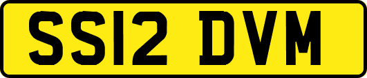 SS12DVM