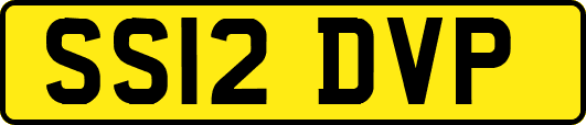 SS12DVP
