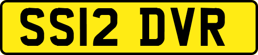 SS12DVR