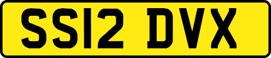 SS12DVX