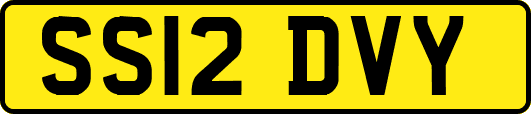 SS12DVY