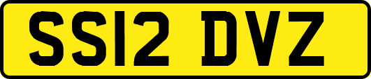 SS12DVZ