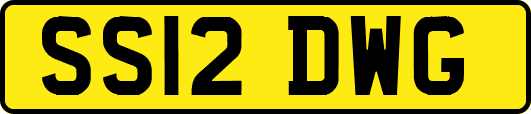 SS12DWG