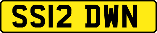 SS12DWN