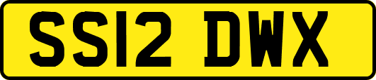 SS12DWX