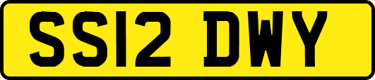 SS12DWY
