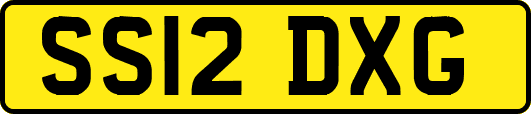 SS12DXG