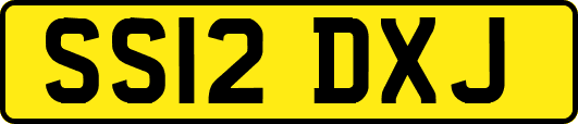 SS12DXJ