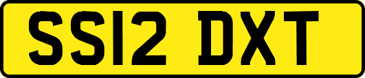 SS12DXT