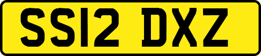 SS12DXZ