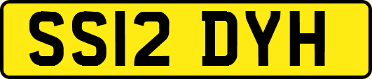 SS12DYH