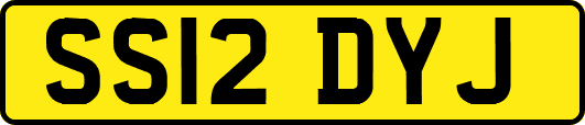 SS12DYJ