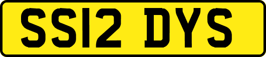 SS12DYS