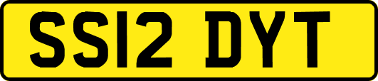 SS12DYT