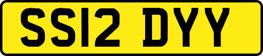 SS12DYY