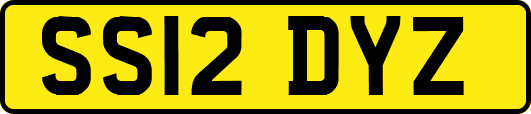 SS12DYZ