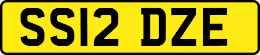 SS12DZE