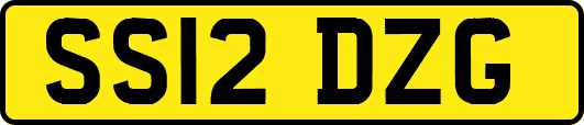 SS12DZG