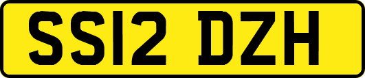 SS12DZH