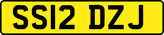 SS12DZJ