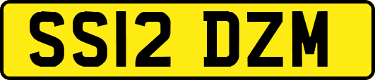 SS12DZM