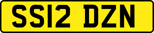 SS12DZN