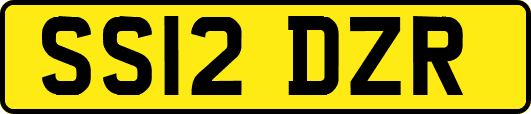 SS12DZR