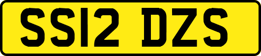 SS12DZS