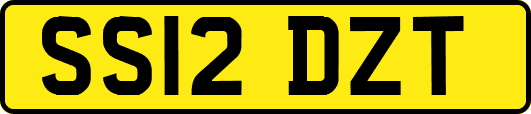 SS12DZT