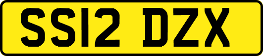 SS12DZX